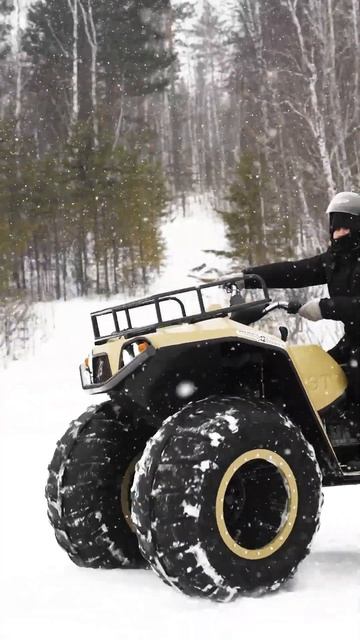 Что не так на видео? #каракат #болотоход #вездеход #снегоболотоход #бездорожье#охота #рыбалка смотреть онлайн