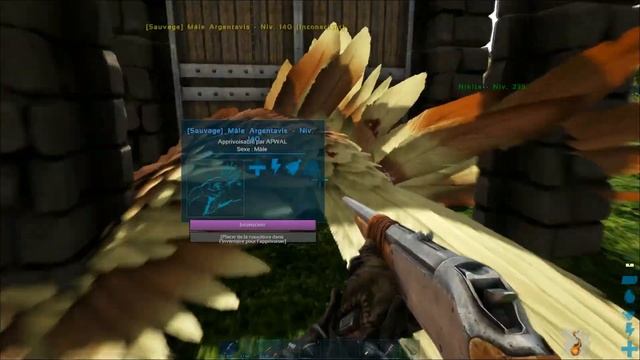 Enfin un T-Rex ( ark boss & grottes #3 ) смотреть онлайн