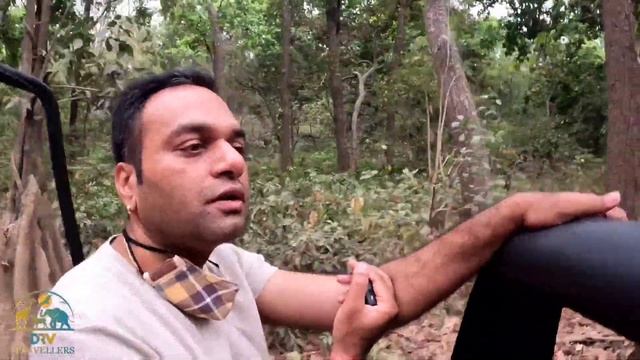 EXCLUSIVE‼️ JEEP SAFARI (Garjia Zone) at JIM CORBETT NATIONAL PARK 😭 Saw DEER Killed By TIGER смотреть онлайн