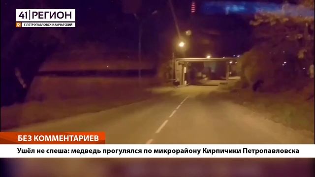 •БЕЗ КОММЕНТАРИЕВ: Ушёл не спеша: медведь прогулялся по микрорайону Кирпичики Петропавловска• смотреть онлайн