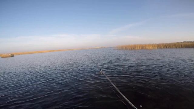 Пятерочка))) смотреть онлайн