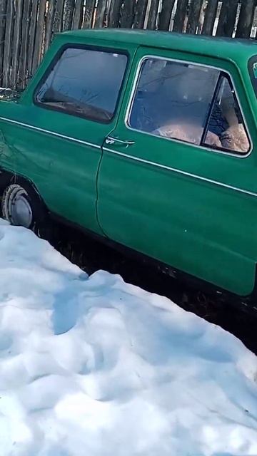 Советский раритет сохранился неплохо. смотреть онлайн