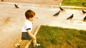 Голуби /Моя игра в догонялки/