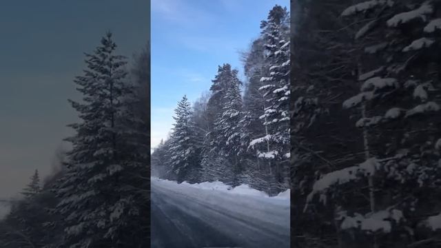 Дорога по ТЦ , Екатеринбург 👀 смотреть онлайн