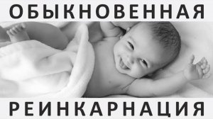 027 Обыкновенная реинкарнация