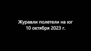 Журавли полетели на юг. 2023 г.