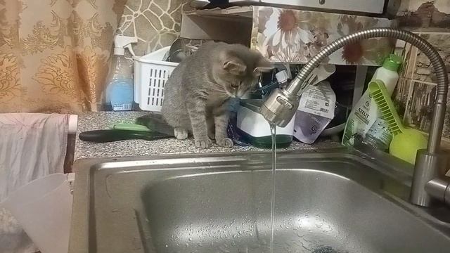 Ну любит он воду смотреть онлайн