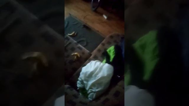 ,родители родители ушли родители ушли в магазин надолго Короче говоря мы картинка в магазин род смотреть онлайн