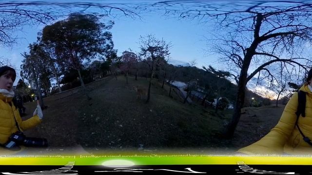 08 - The deers in Nara, Japan - 360 video смотреть онлайн