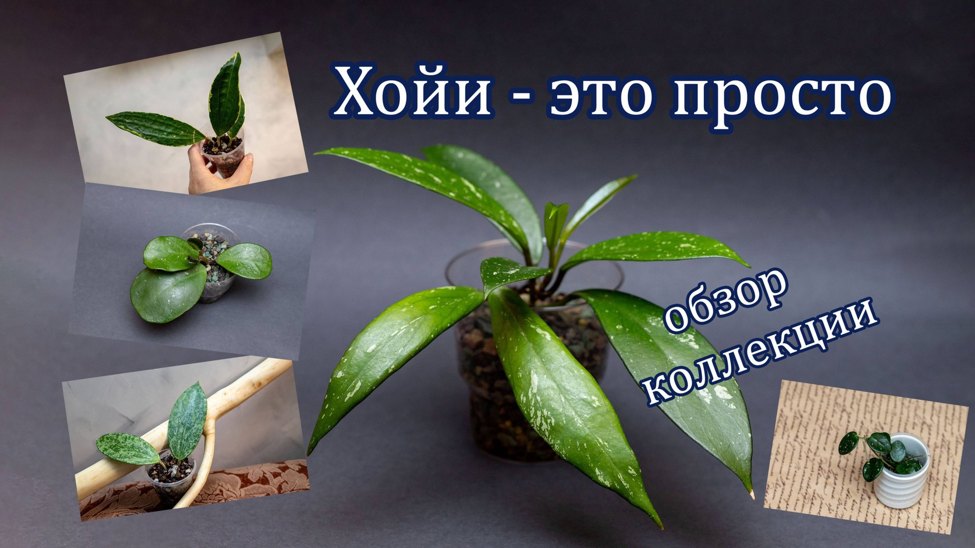 Хойи - это просто (обзор коллекции) смотреть онлайн