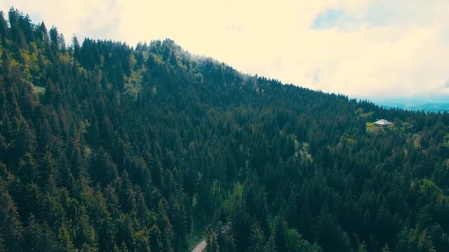 Spring Piano Music Birds Singing | Relaxing Meditation Music | No Copyright Free Music смотреть онлайн
