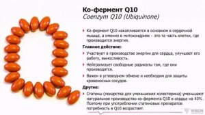 Лаборатория DEM4 .Элмантас Пацевичус о КардиоДрайв