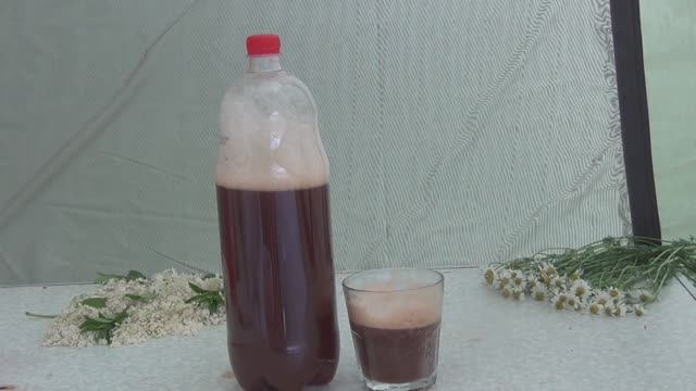 Рецепт ГАЗИРОВКИ. Просто и вкусно. Квас, лимонад в домашних условиях.