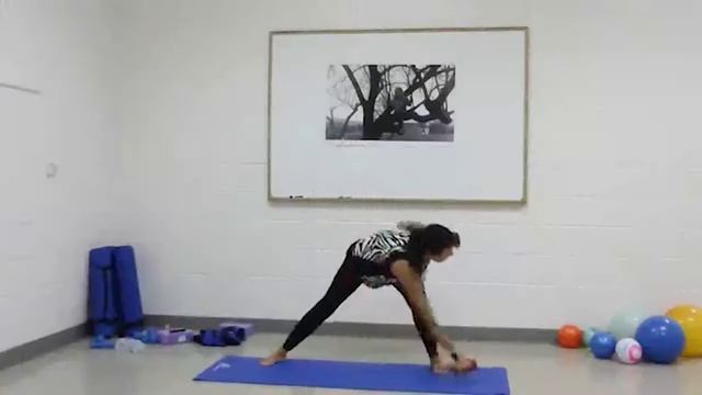 NEW VIDEO! - Yoga with Mary Frances - Lesson 9 смотреть онлайн
