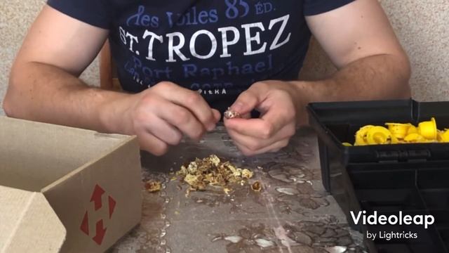 Середина червня на пасіці смотреть онлайн