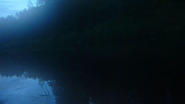 Лес и речка наша тема P1070666