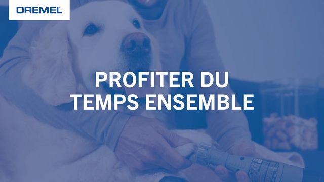 Chouchoutez votre animal de compagnie avec Dremel смотреть онлайн