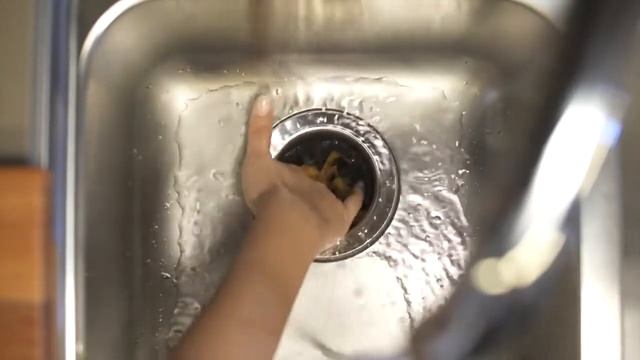 Triturador De Resíduos/Alimentos - Franke