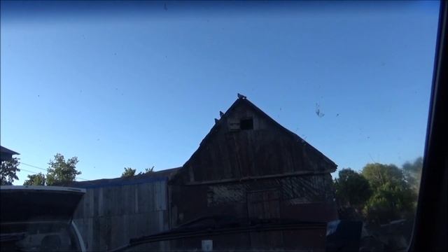 Голуби Пампеева Н.В. смотреть онлайн
