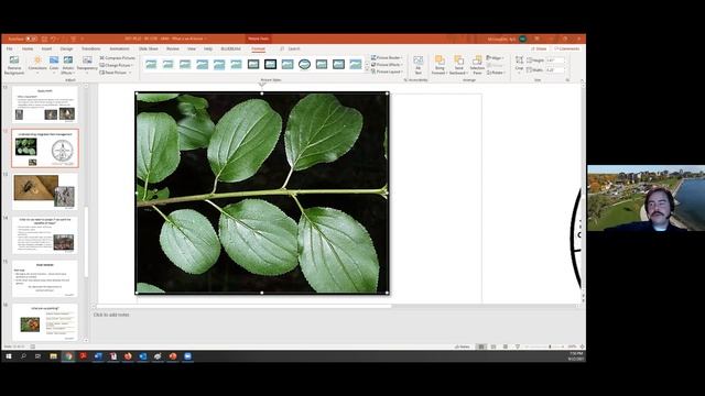 Ask an Arborist with Kyle McLoughlin смотреть онлайн