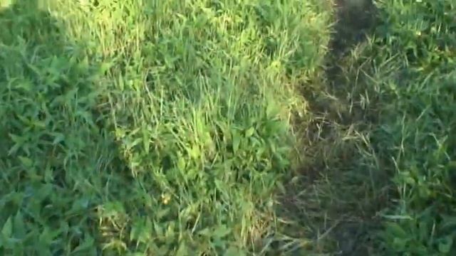 K5N Dxpedition Part 2 смотреть онлайн