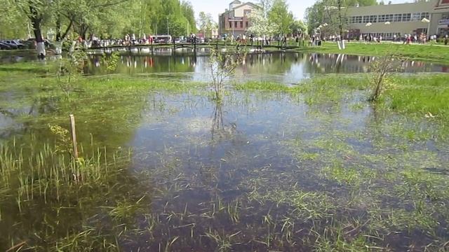 Песня "Темная ночь" в исполнении лягушек смотреть онлайн