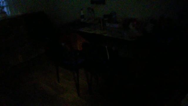 VLOжик 28.12.19 Трудовые будни. Про кота и НОВОСТИ смотреть онлайн