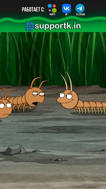 👀 Расизм насекомых | Гриффины 13 сезон 8 серия #shorts #short #familyguy #гриффины #юмор смотреть онлайн