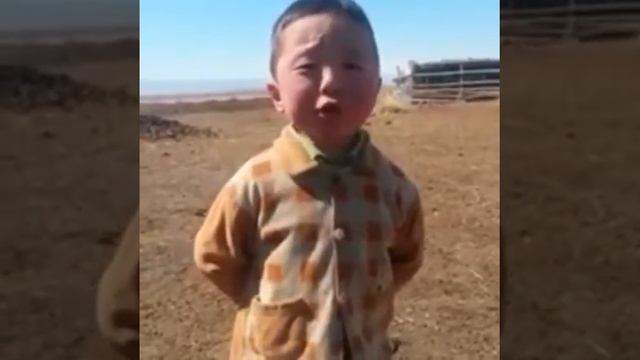 Самые хорошие песни смотреть онлайн