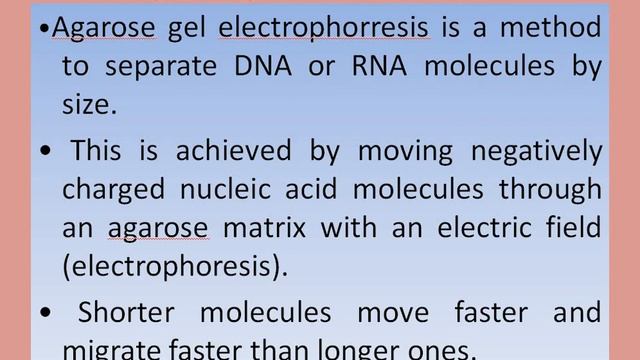 Gel Electrophoresis, Part-1 смотреть онлайн