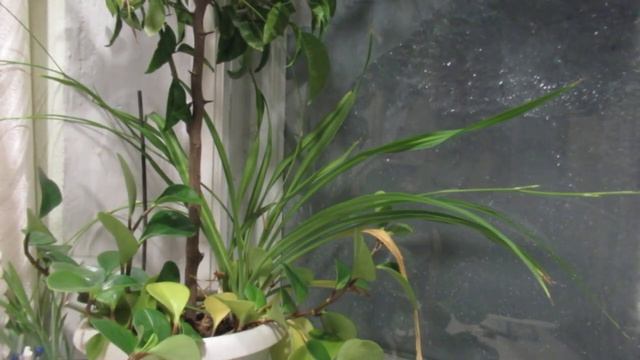 Верю смотреть онлайн