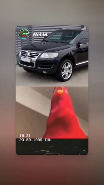 #машина #внутри #попугай #механизм #страшно #классно смотреть онлайн