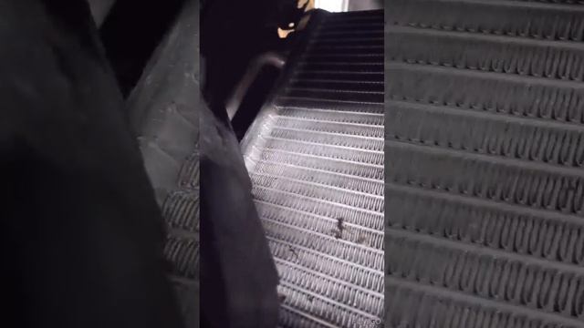 Unrevealed Potential Of Invention