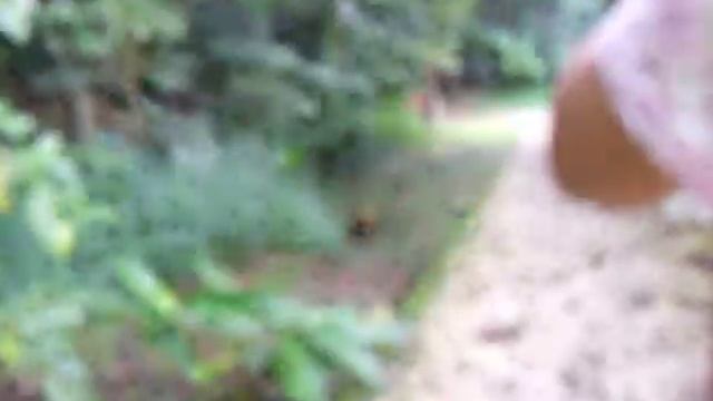 Agouti смотреть онлайн