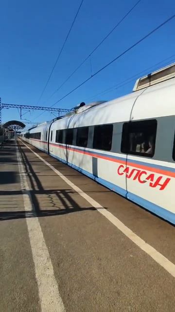 Сапсан!(настольгическое лето 2022)фонк го 190 подписчиков!!!!!! #поезд #сапсан #фонк смотреть онлайн