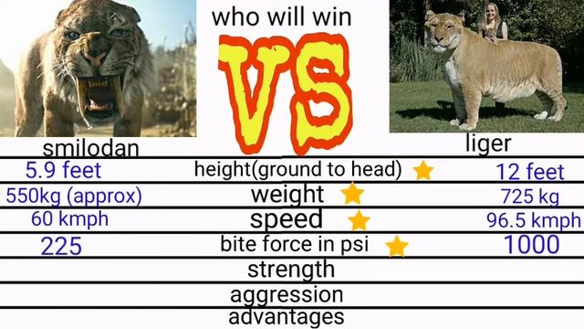 liger vs smilodan || animal fight comparison, extent vs living(hybrid). #mrYash #whowillwin смотреть онлайн