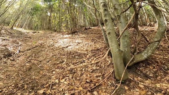 K3 Ултра /63км/2300 Д/ 2022 / смотреть онлайн