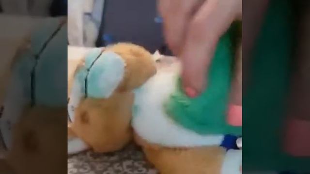 Губка инволвер. Гринвей смотреть онлайн