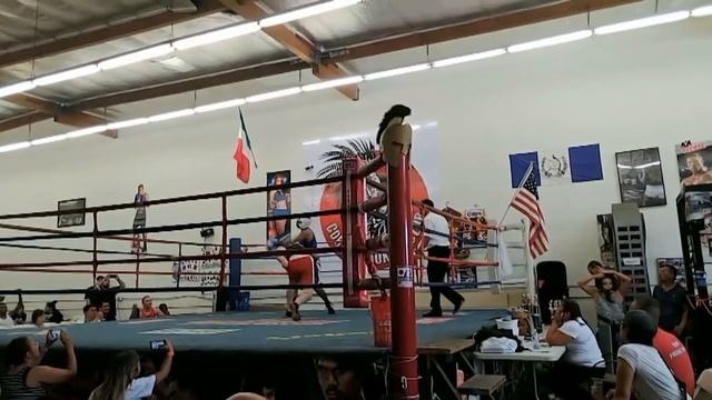 USA Amateur boxing (M) 141lbs (M) 165lbs (F) 125lbs weight classes смотреть онлайн