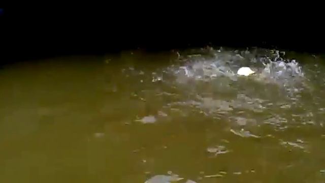 Карп на реке Квай смотреть онлайн