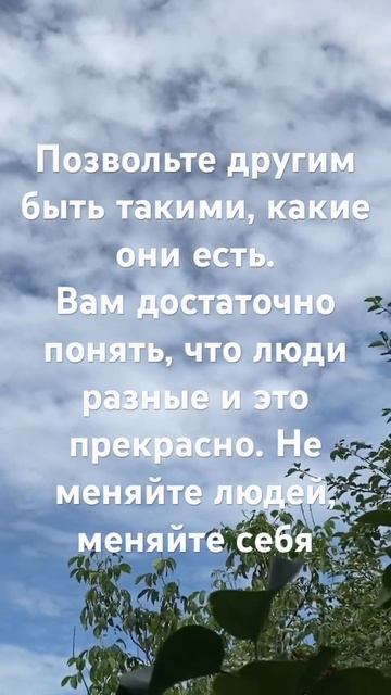 🧿Позвольте другим… смотреть онлайн