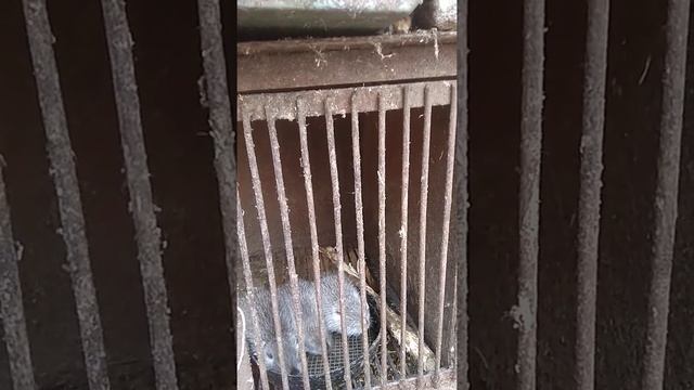 "Боевые пловцы" смотреть онлайн