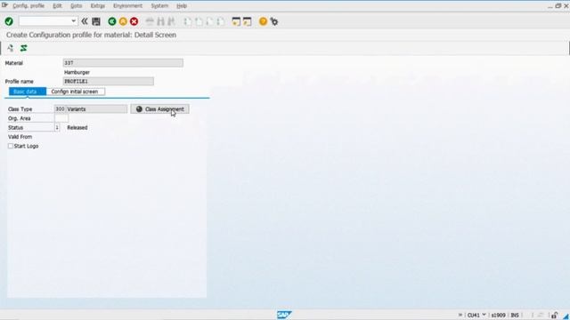 SAP Variant Configuration with Third-party process (MM / SD) смотреть онлайн
