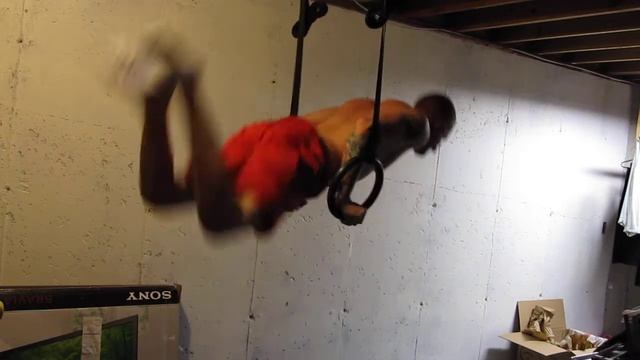 pelican attempt смотреть онлайн