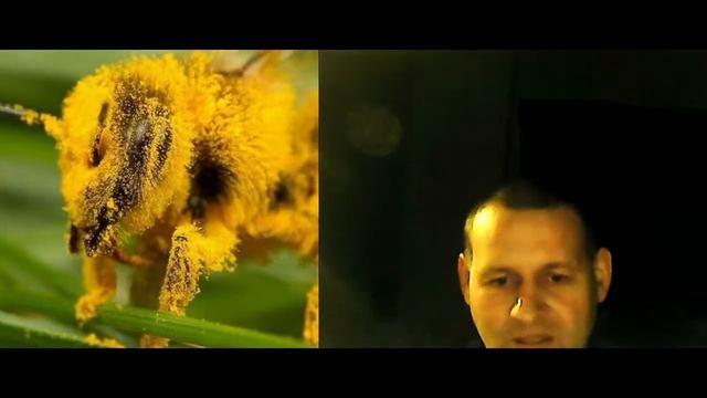 Поспілкуємося,Узнав Як Накручують канали, не Дивіться оте смотреть онлайн