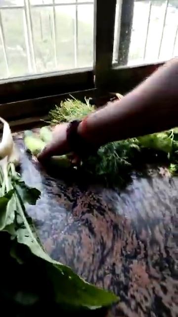 New Diet System (NDS) |Juice Is Real Food смотреть онлайн