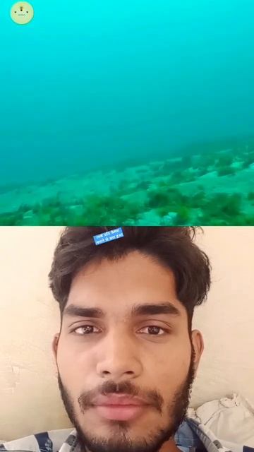 sab logon ne Shark per camera lagaya #experiment #amazing #world #shorts #fish #ocean смотреть онлайн