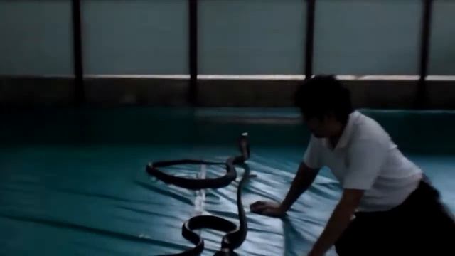 Самуи, Таиланд, поцелуй змеи смотреть онлайн