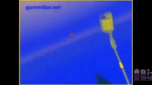 lrish Gummy bear Song effects Sponsored by Preview 2 Effects Reversed