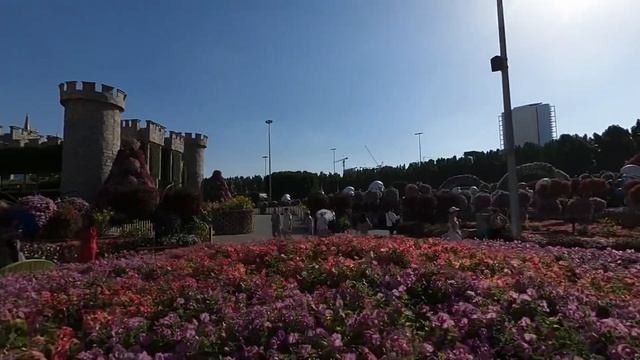 Сад цветов. Дубай. смотреть онлайн